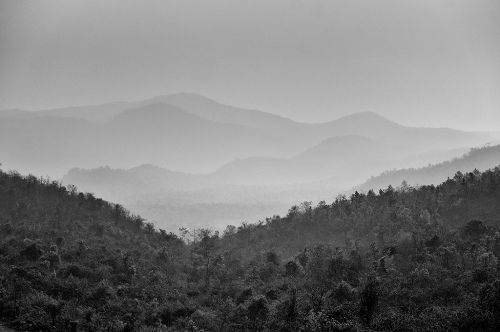 Landscape 2