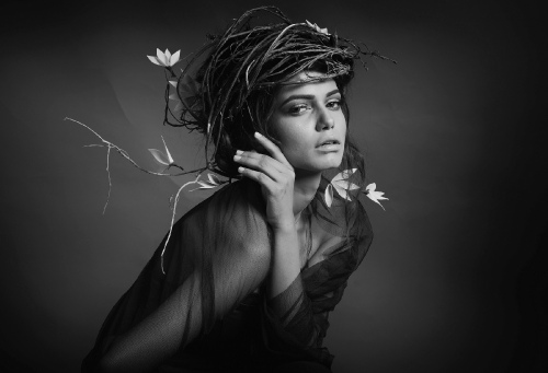 Nested Dream 6