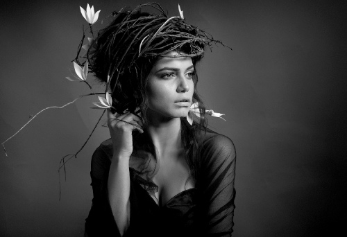 Nested Dream 7