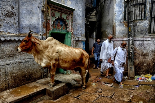 Varanasi City Life