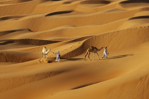 Liwa