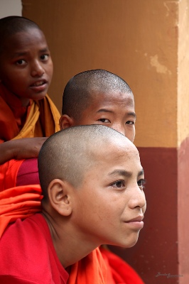 Novice monks