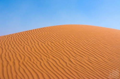 Arabia Desert