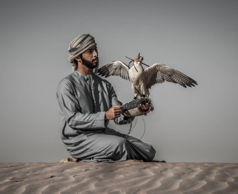 Emirati Falconer