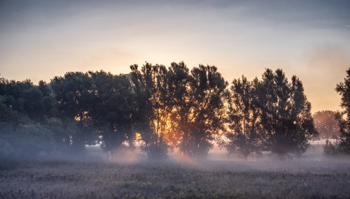 Fog