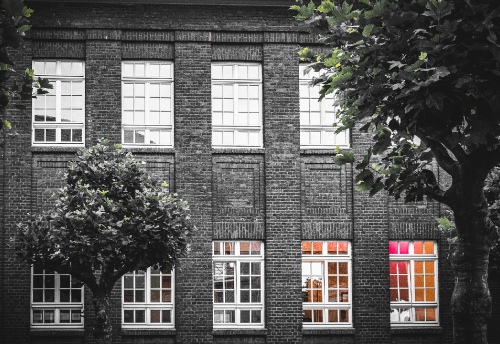 Windows