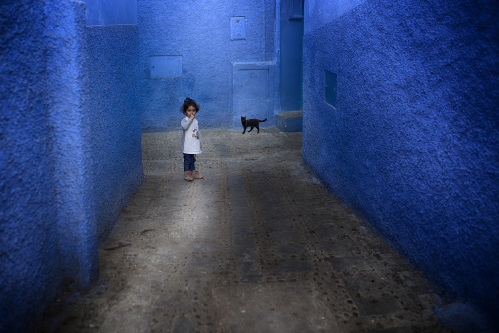 The girl and the cat