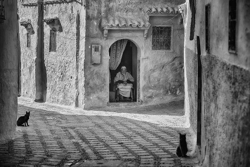 The Old man and The cats bw