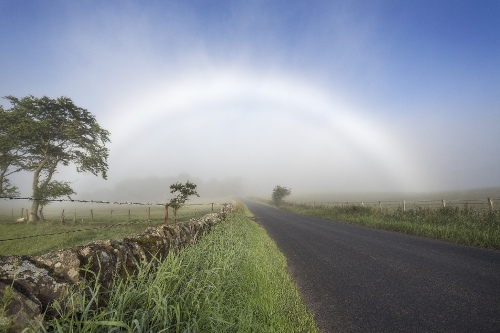 Fogbow
