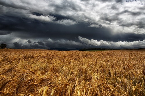 Harvest Storm