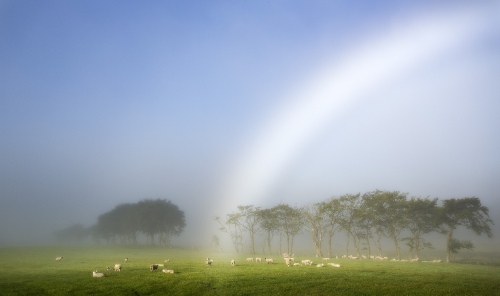 Light Fleece