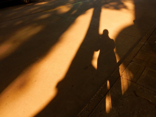 Shadow