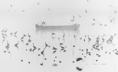 lake