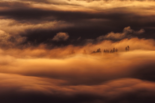 morning steam