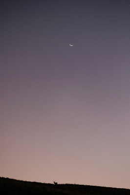 under new moon