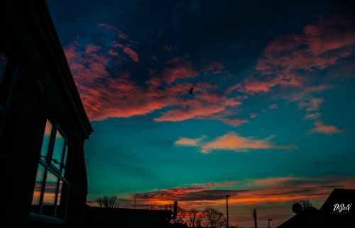 the sunrise