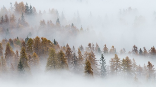 Dolomiti