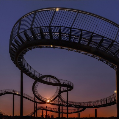 Tiger and Turtle