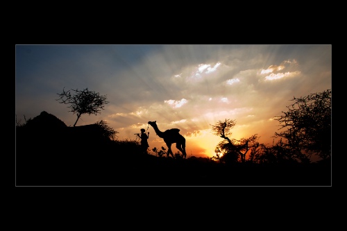 duttaan@rediffmail.com