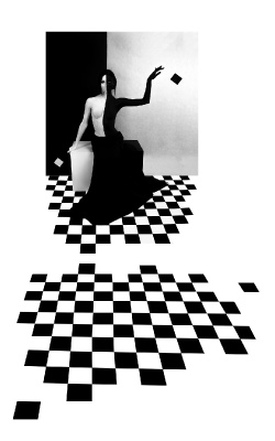 Dual Consciousness 11