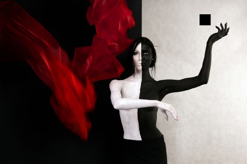 Dual Consciousness 3