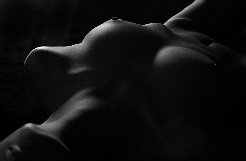 Torso