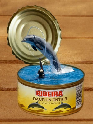 Boite de dauphin
