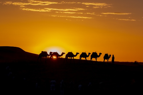 Merzouga 9.01
