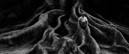Ancestral roots