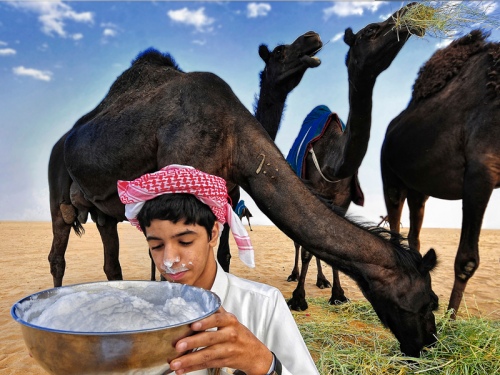 Desert milk