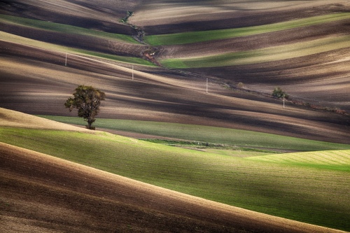 brushstrokes of light