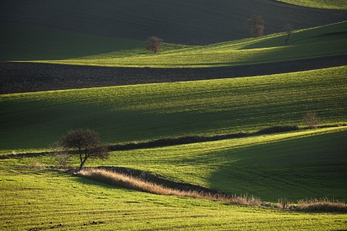 Luce1