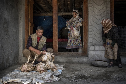 Chicken shop