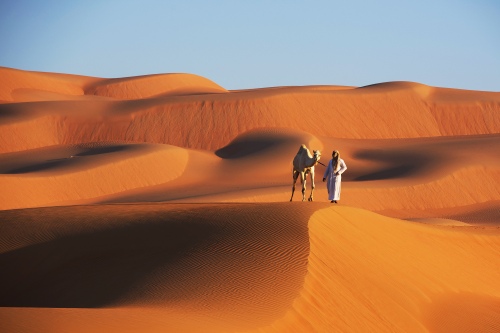Desert traveler