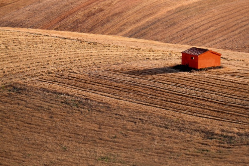 Country sunset