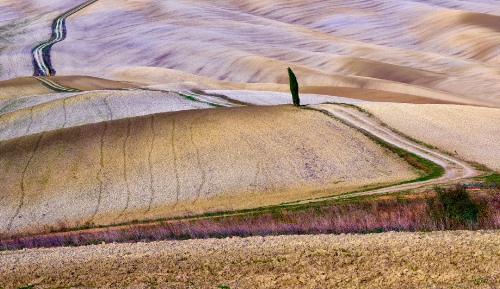 Tuscany land III