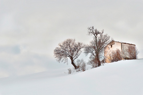 White Winter