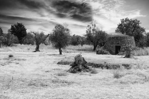 Salento