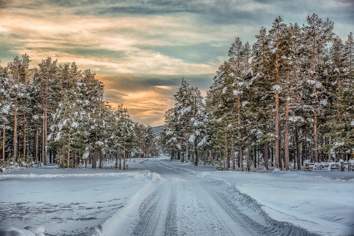 Winter in Lesja