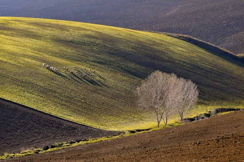 Idillico Autunno