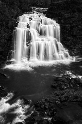 Bonnington Linn