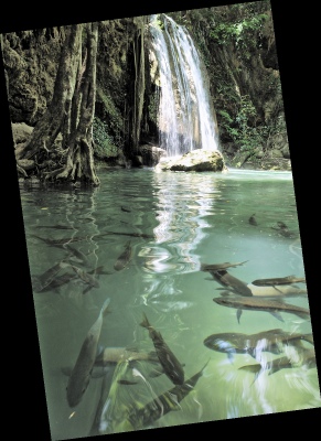 Earth paradise