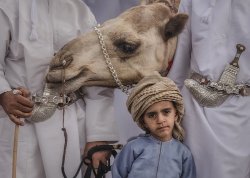 The Bedouin Boy