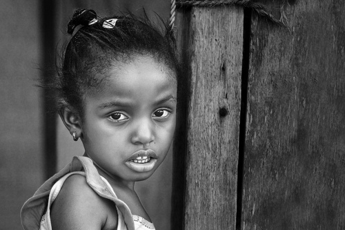 Wondering Eyes