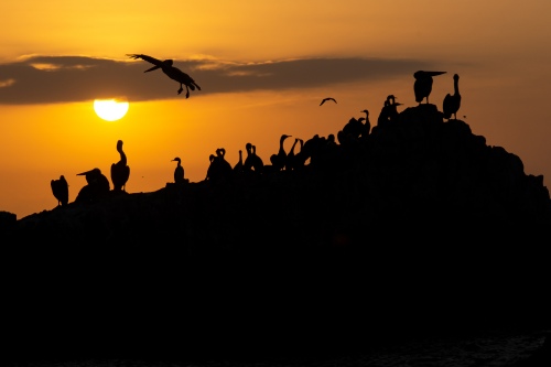 Sunset in the guanera