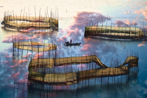 Fish Traps