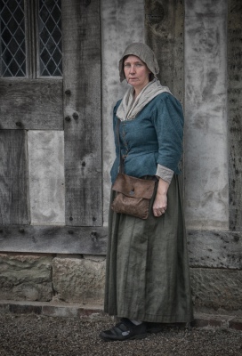 Civil War Widow
