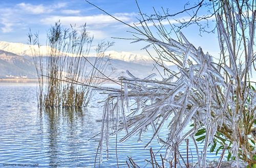 Frozen Nature