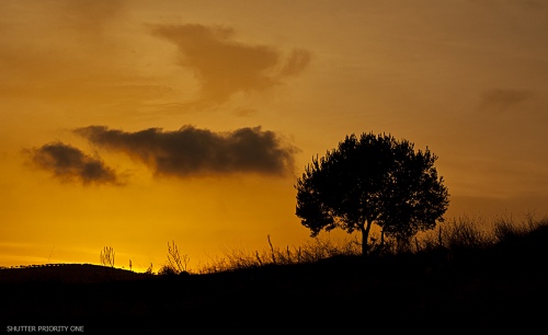 Sunset silhouette