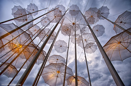 The umbrellas